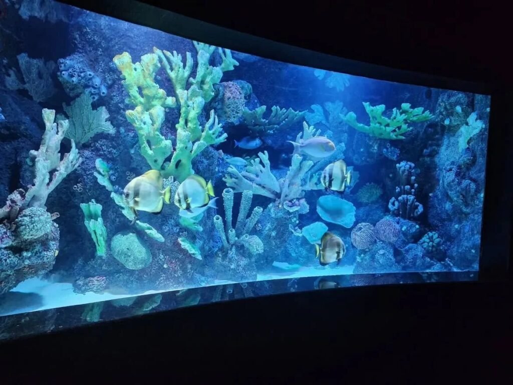 03878bfa eaba 4972 840f 1a8c59fd56c2