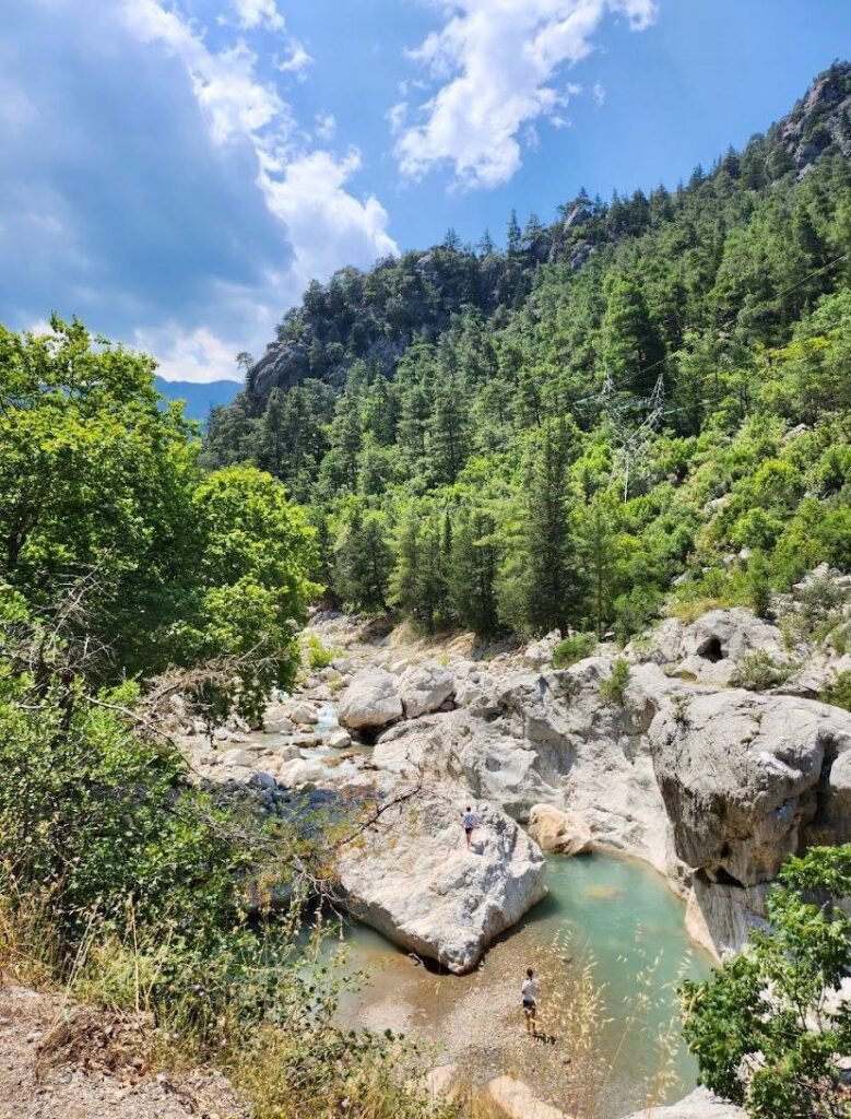 photo 2024 07 31 17 49 19