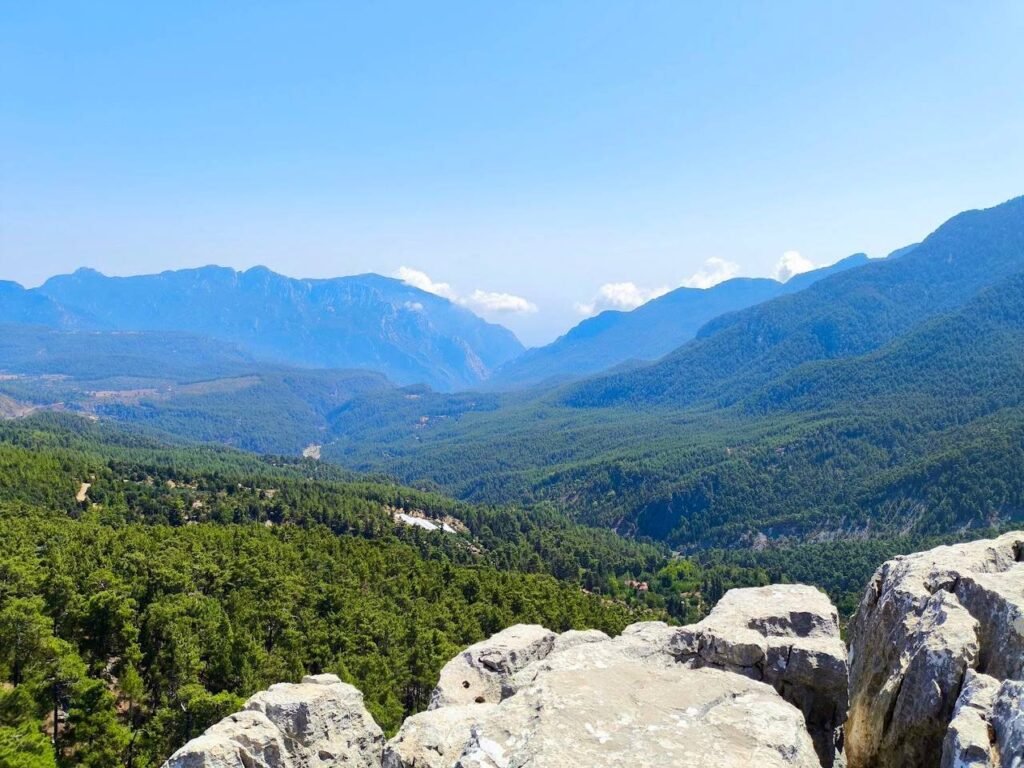 photo 2025 05 21 07 58 07