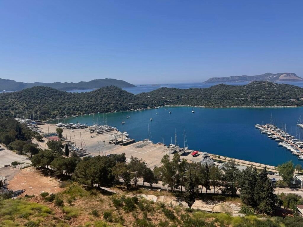 photo 2025 05 30 14 53 37