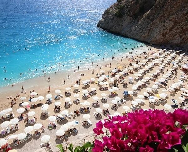 thumbs b c 81db0c2a6dbb5d667cd805bfabb077d1