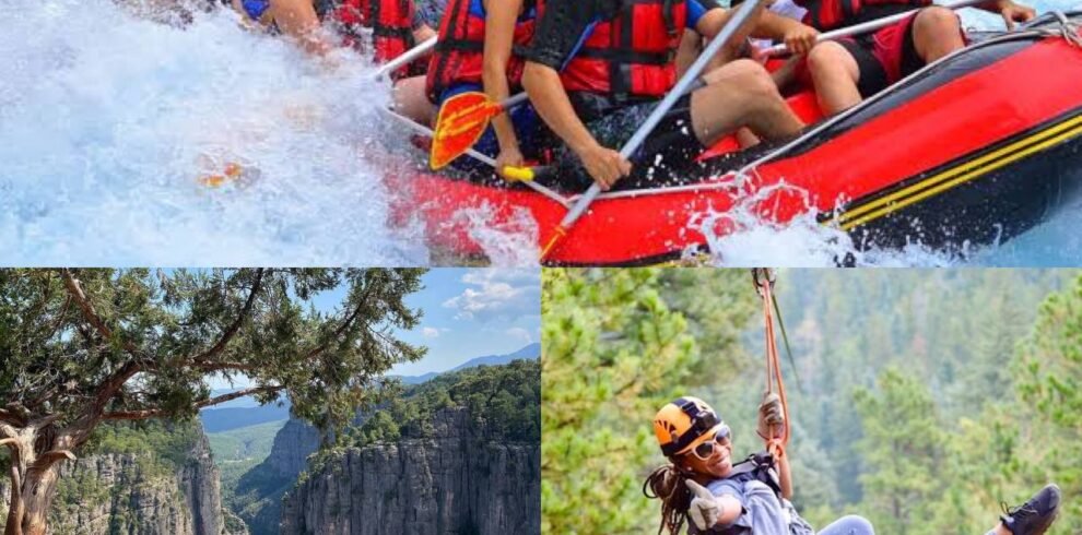 photo 2025 06 03 11 48 31