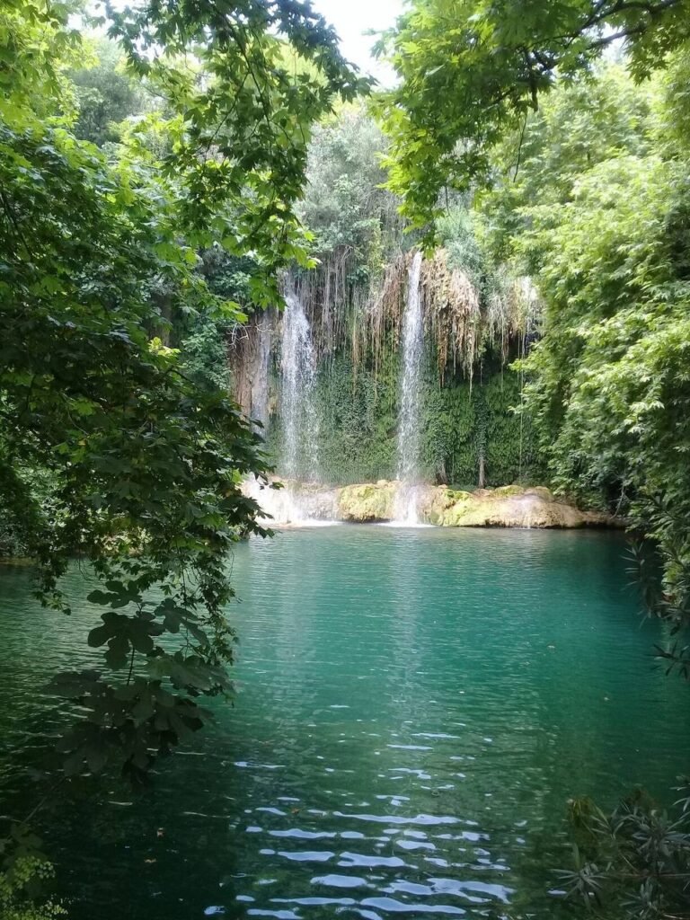 photo 2025 07 16 11 55 50